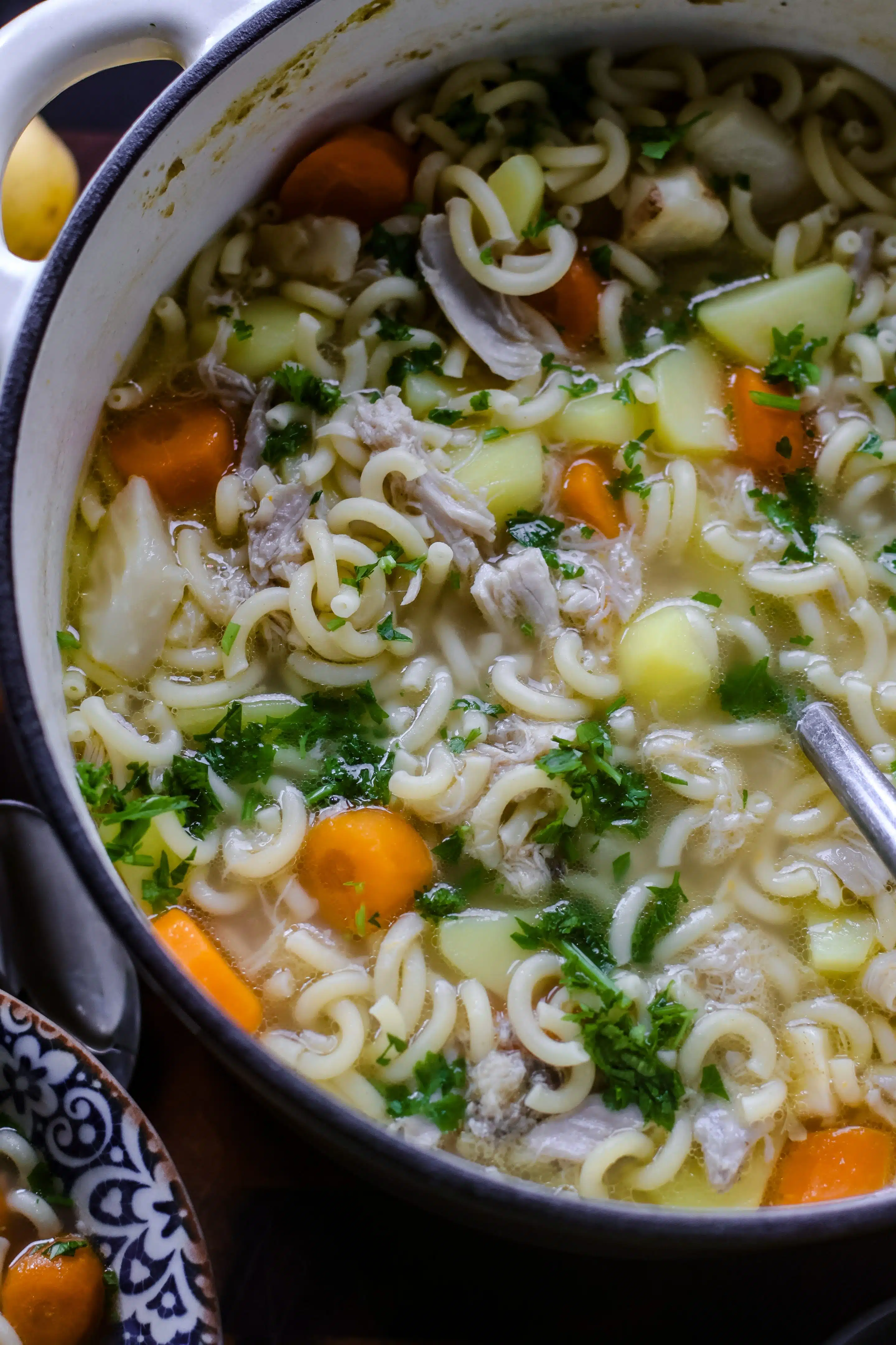 sieht diese Hühnersuppe mit Nudeln nicht phantastisch aus?