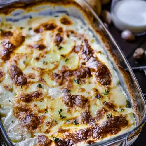 Sieht dieses Gratis Dauphinois nicht perfekt aus