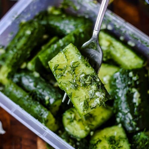 sehen diese Schüttelgurken auf russische Art nicht phantastisch aus?