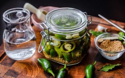 Eingelegte Jalapeños  – perfekt für Burger, Pizza und Co.